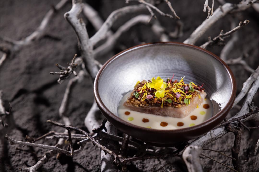 Empurau confit over a pale collagen broth, a second view, Course I River