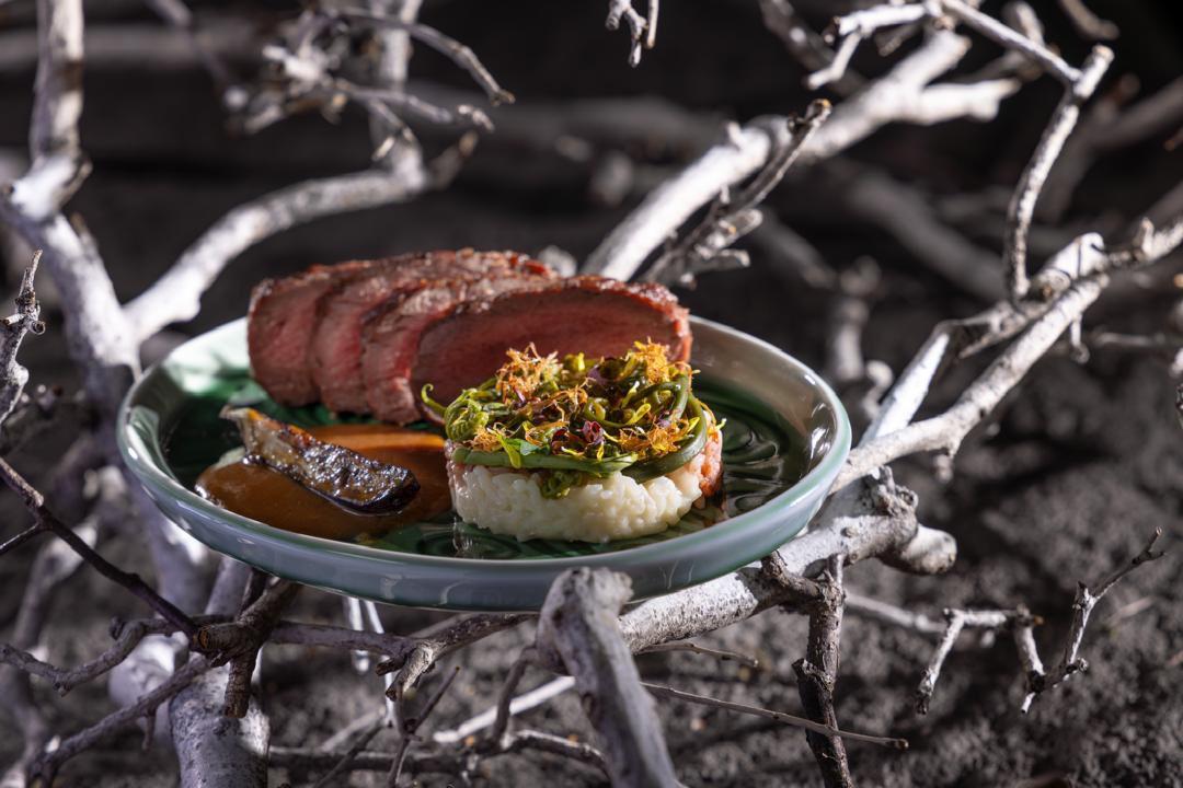 Aged venison with tri-colour Bario risotto, ferns and fried tepus, Course III Mountain